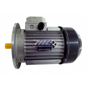 Электродвигатель MEC112-B5-2P 5,5кВт (GAS P190) Фото