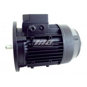 Электродвигатель SIMEL 7-3030-32-2P 740Вт Фото